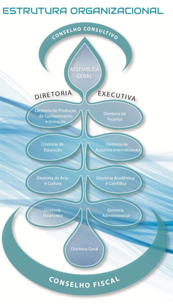 estrutura-organizacional